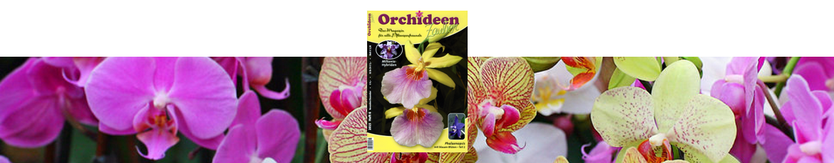 Orchideenzauber 2015 Heft 6, mit einem Artikel über Paphiopedilum rothschilianum.
